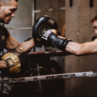 Лапи - Leone POWER LINE PUNCH MITTS - GM411